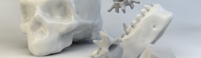 Bones in C4D